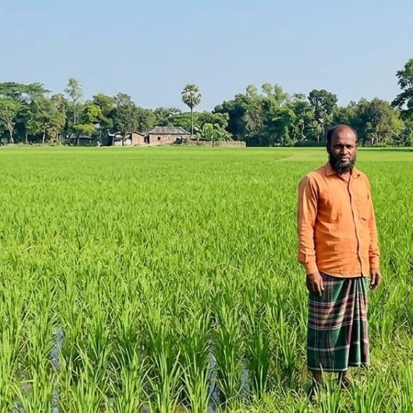 সিলেটে বিএডিসির মেগা প্রকল্প: অনাবাদী মাঠে ফসলের হাসি, বদলাচ্ছে ১৭ হাজার হেক্টরের কৃষি ও হাওরের অর্থনীতি