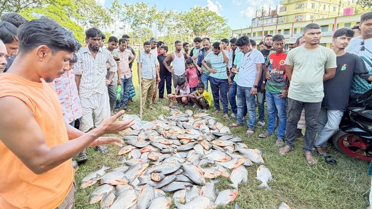 বিদ্যালয়ের পুকুরে মাছ ধরার উৎসব, মিলল ১০ মণ নিষিদ্ধ পিরানহা